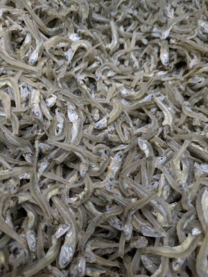 大分県産　かえりちりめん　上乾　廣