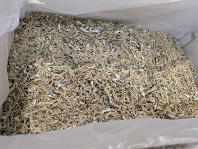 大分県産　かえりちりめん　上乾