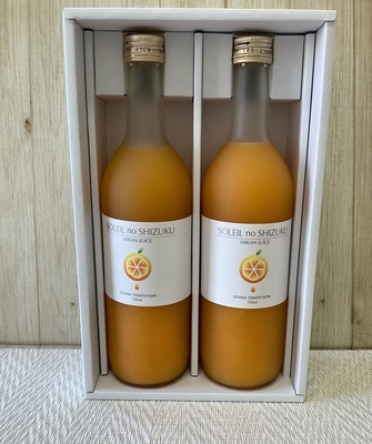 みかんジュース2本箱(720mlx2)【SOLEILnoSHIZUKU】