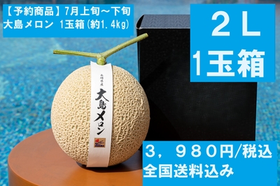 【予約商品】大島メロン(2L玉) 1玉箱｜全国送料込み 3,980円