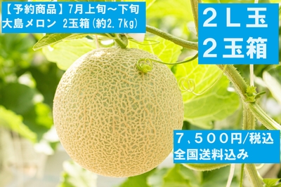 【予約商品】大島メロン(2L玉)　2玉箱｜全国送料込み 7,500円