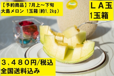 【予約商品】大島メロン(LA玉)　1玉箱｜全国送料込み 3,480円