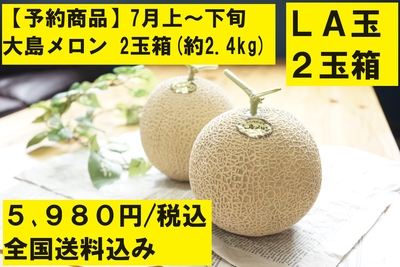 【予約商品】大島メロン(LA玉)　2玉箱｜全国送料込み 5,980円