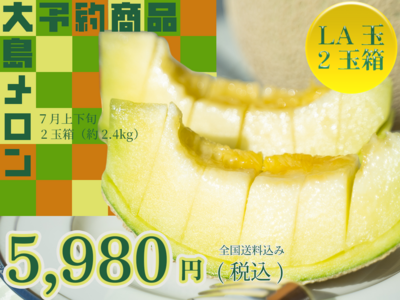 【予約商品】大島メロン(LA玉)　2玉箱｜全国送料込み 5,980円