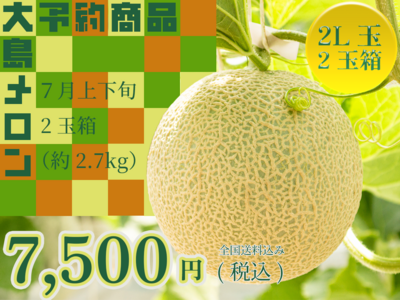 【予約商品】大島メロン(2L玉)　2玉箱｜全国送料込み 7,500円