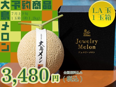 【予約商品】大島メロン(LA玉)　1玉箱｜全国送料込み 3,480円