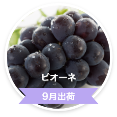 ピオーネ