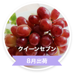 クイーンセブン