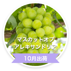 マスカットオブアレキサンドリア