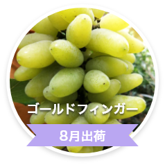 ゴールドフィンガー