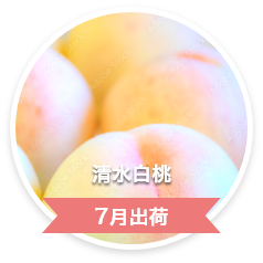 清水白桃