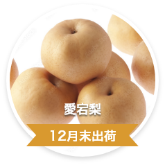 愛宕梨