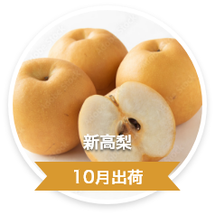 新高梨