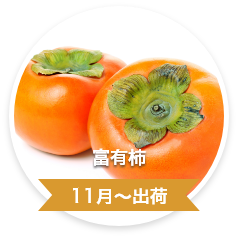 富有柿