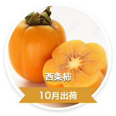 西条柿