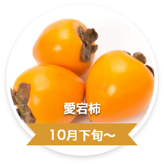 愛宕柿