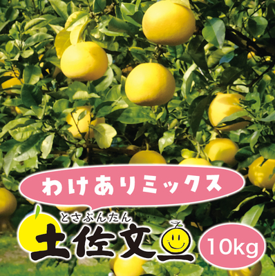 楽天市場】高知県産 土佐文旦 中玉 小玉 お得用 約10kg 文旦