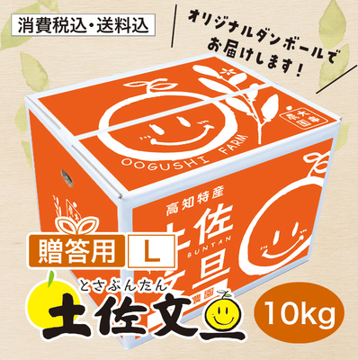 【贈答用】土佐文旦 L 10kg