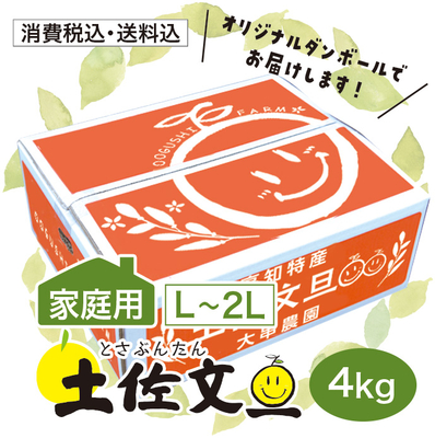 【家庭用】土佐文旦 L-2L 4kg