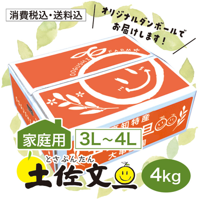 【家庭用】土佐文旦 3L-4L 4kg