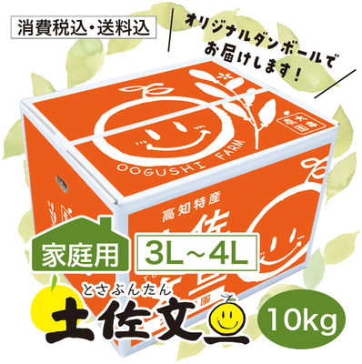 【家庭用】土佐文旦 3L-4L10kg