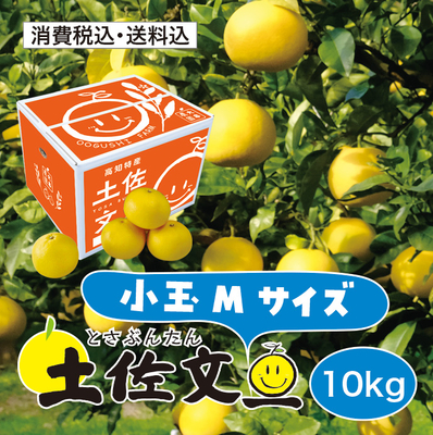 【小玉サイズ】土佐文旦 10kg