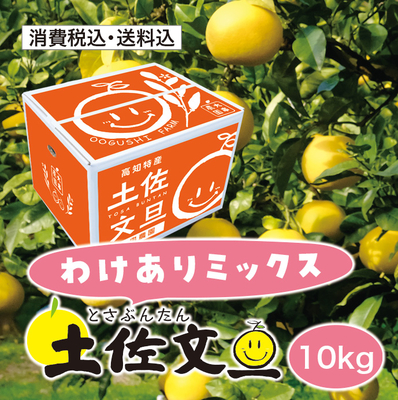 【わけありミックス】土佐文旦 10kg