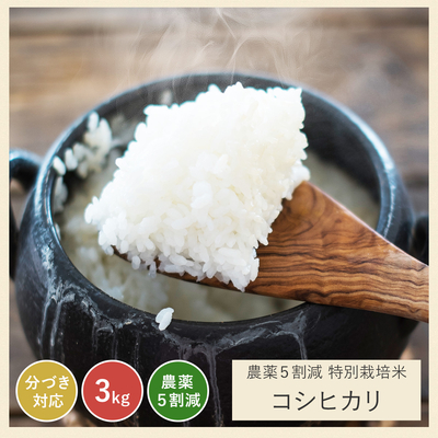 令和6年 農薬5割減 こしひかり｜減農薬 特別栽培（玄米 白米 分づき米）3kg 静岡県産 コシヒカリ 送料無料 ※精米の際、内容量がヌカの分だけ目減り致します。(白米で約1割)