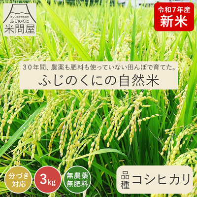 令和7年産 新米 30年間無農薬・無肥料 又平の自然米 コシヒカリ｜3kg 玄米 白米 静岡県産 送料無料 ※精米の際、内容量がヌカの分だけ目減り致します。(白米で約1割)