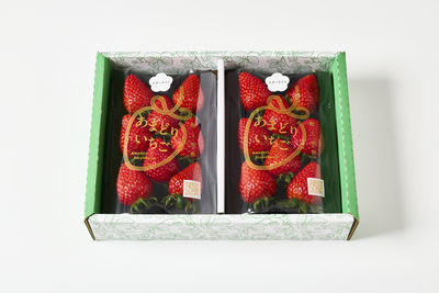 スターナイト4パック（約1kg）