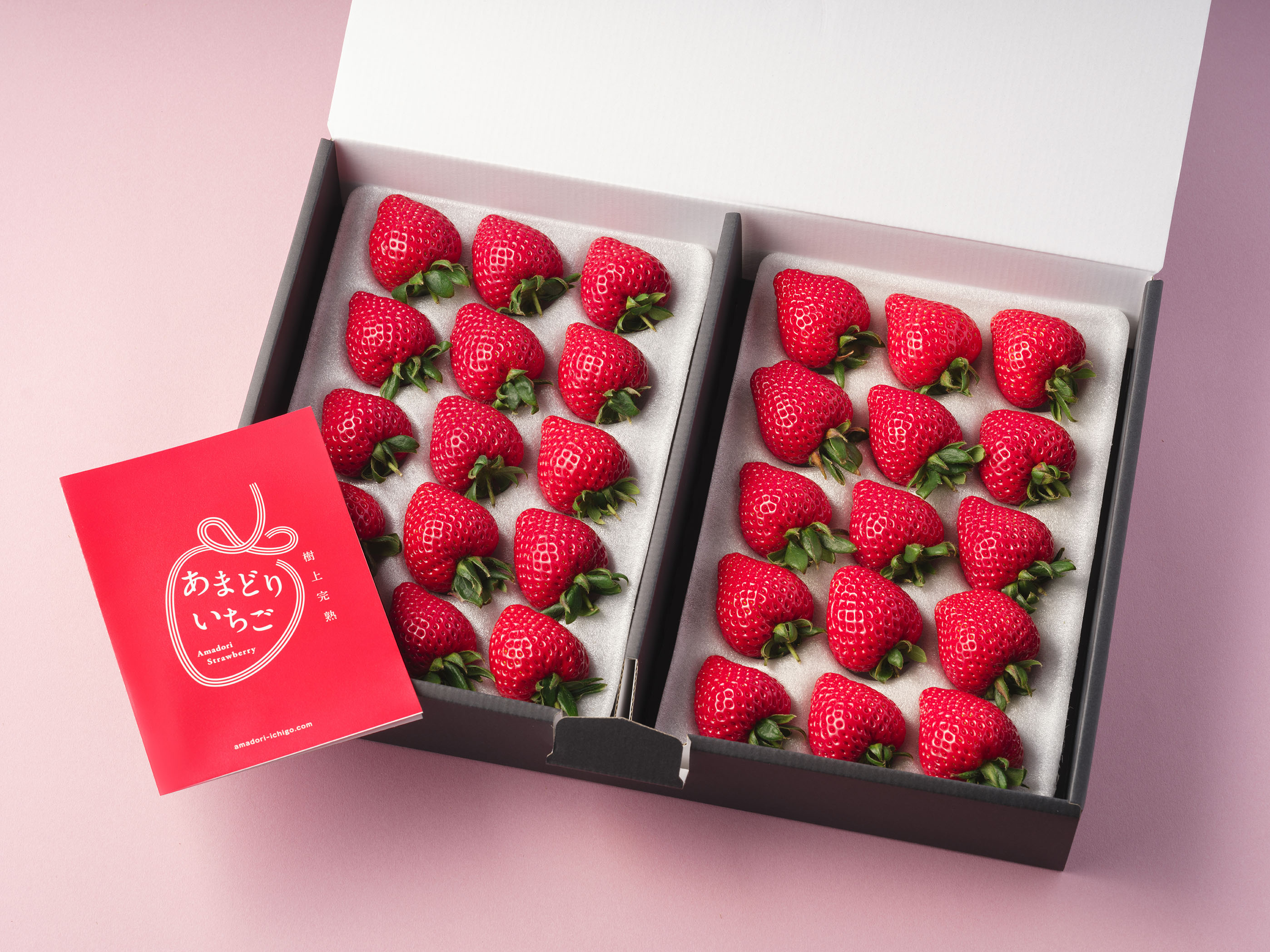 埼玉県のブランドいちご“あまりん”の贈答箱 - 樹上完熟のあまどり