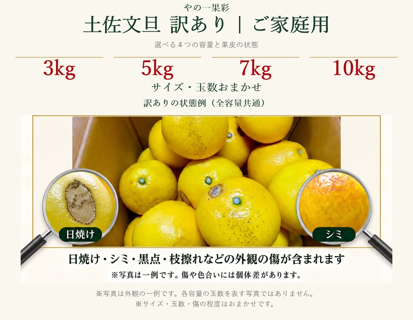 訳あり土佐文旦の外観の状態例。日焼け・シミ・黒点・枝擦れなどが含まれます（全容量共通）