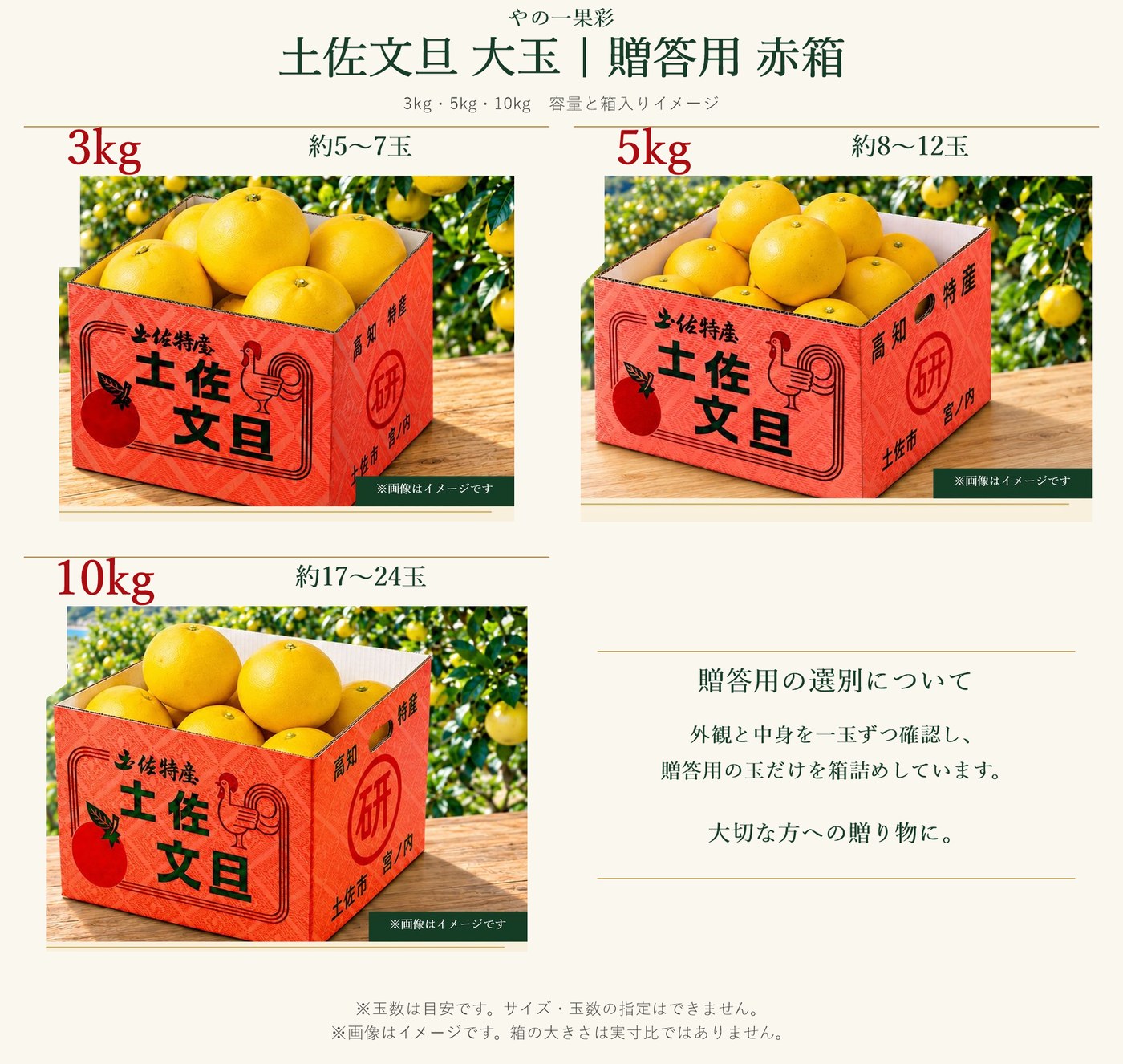 贈答用大玉の容量ごとのお届けイメージ。3kg・5kg・10kgの赤箱と玉数の目安