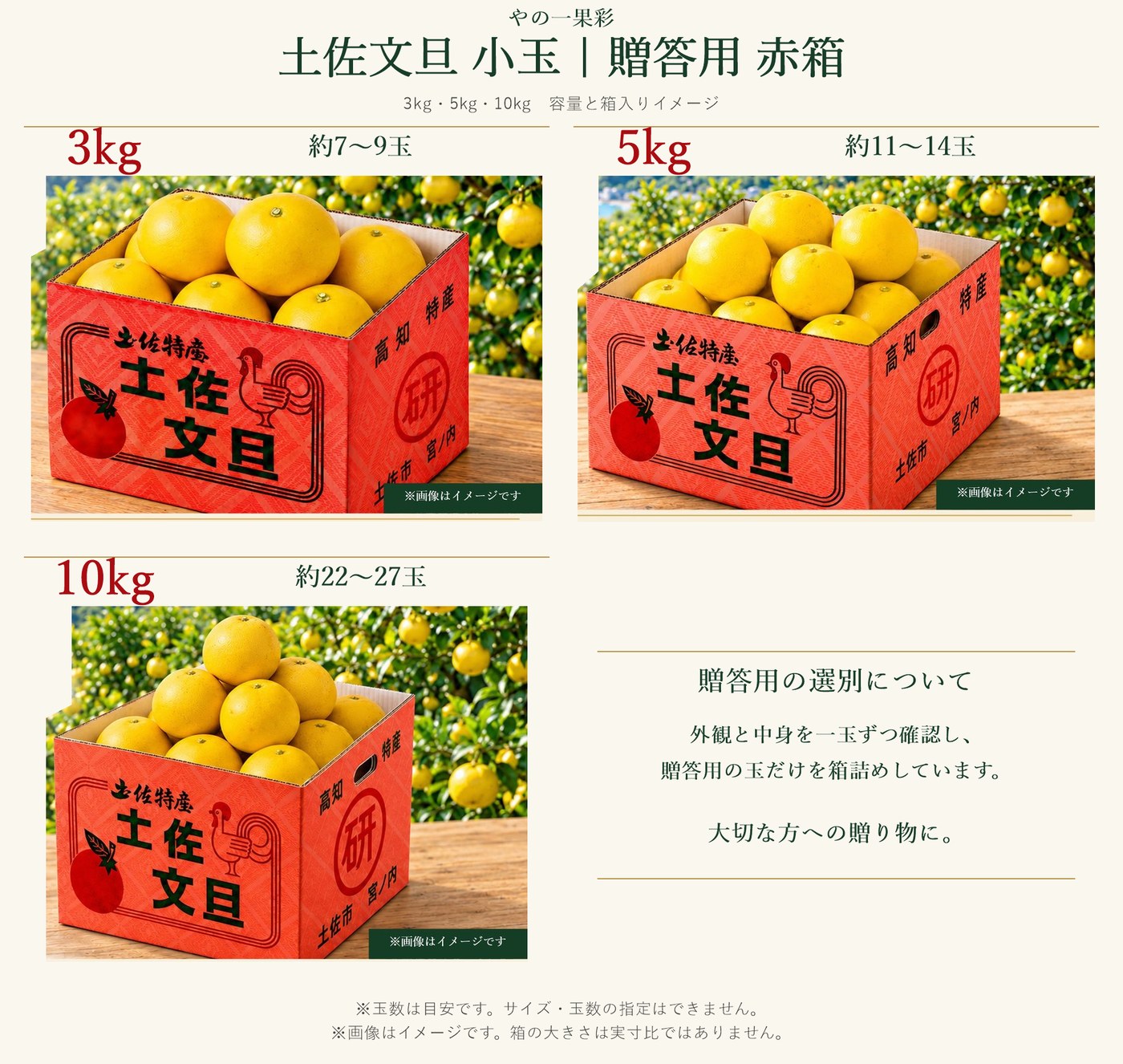 贈答用小玉の容量ごとのお届けイメージ。3kg・5kg・10kgの赤箱と玉数の目安