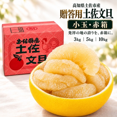 贈答用 小玉 土佐文旦 赤箱 3kg・5kg・10kg 選べる3容量｜一人で1玉を食べ切れる贈りやすさ。発祥の地の誇りを贈る赤箱｜高知県土佐市産・産地直送