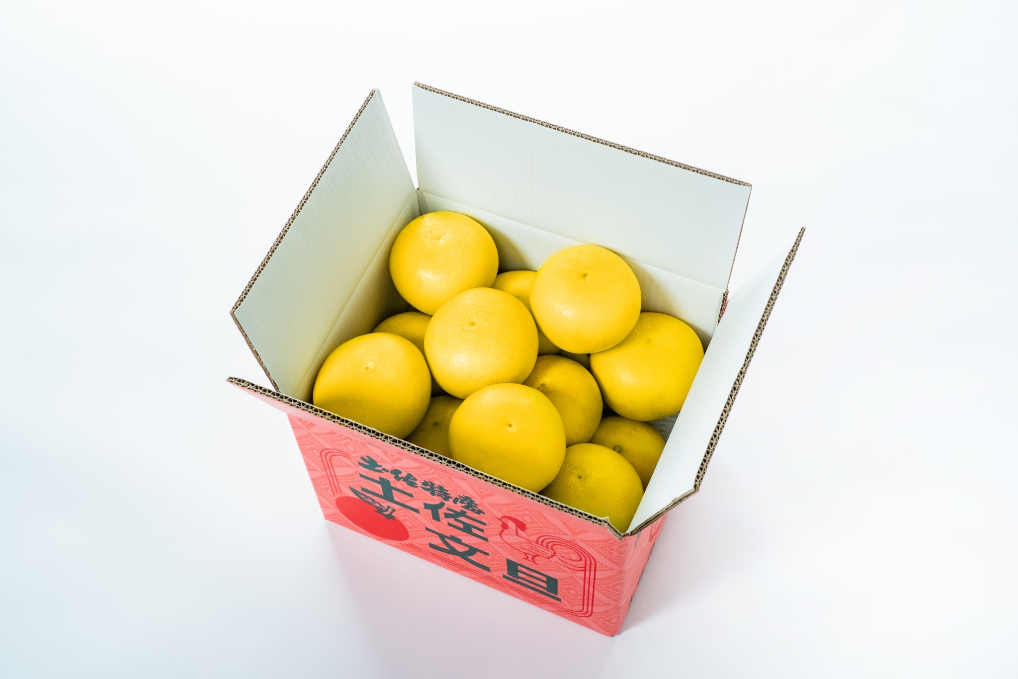 限定10箱】早い者勝ち！文旦20キロ54 - 果物