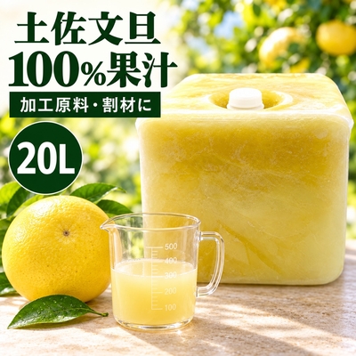 土佐文旦100％果汁 20L（加工原料・割材用）｜中玉300個・180kgの土佐文旦を搾汁｜冷凍でお届け・高知県土佐市産