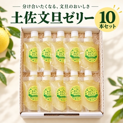 土佐文旦ゼリー10本入り