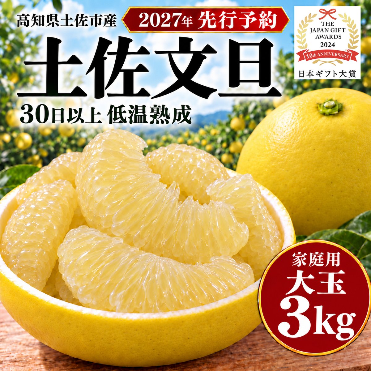 大玉 土佐文旦 家庭用の単品掲載画像