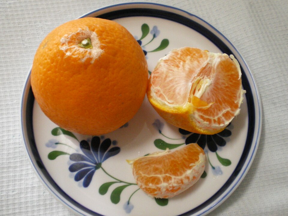 清見の果実と剥皮例