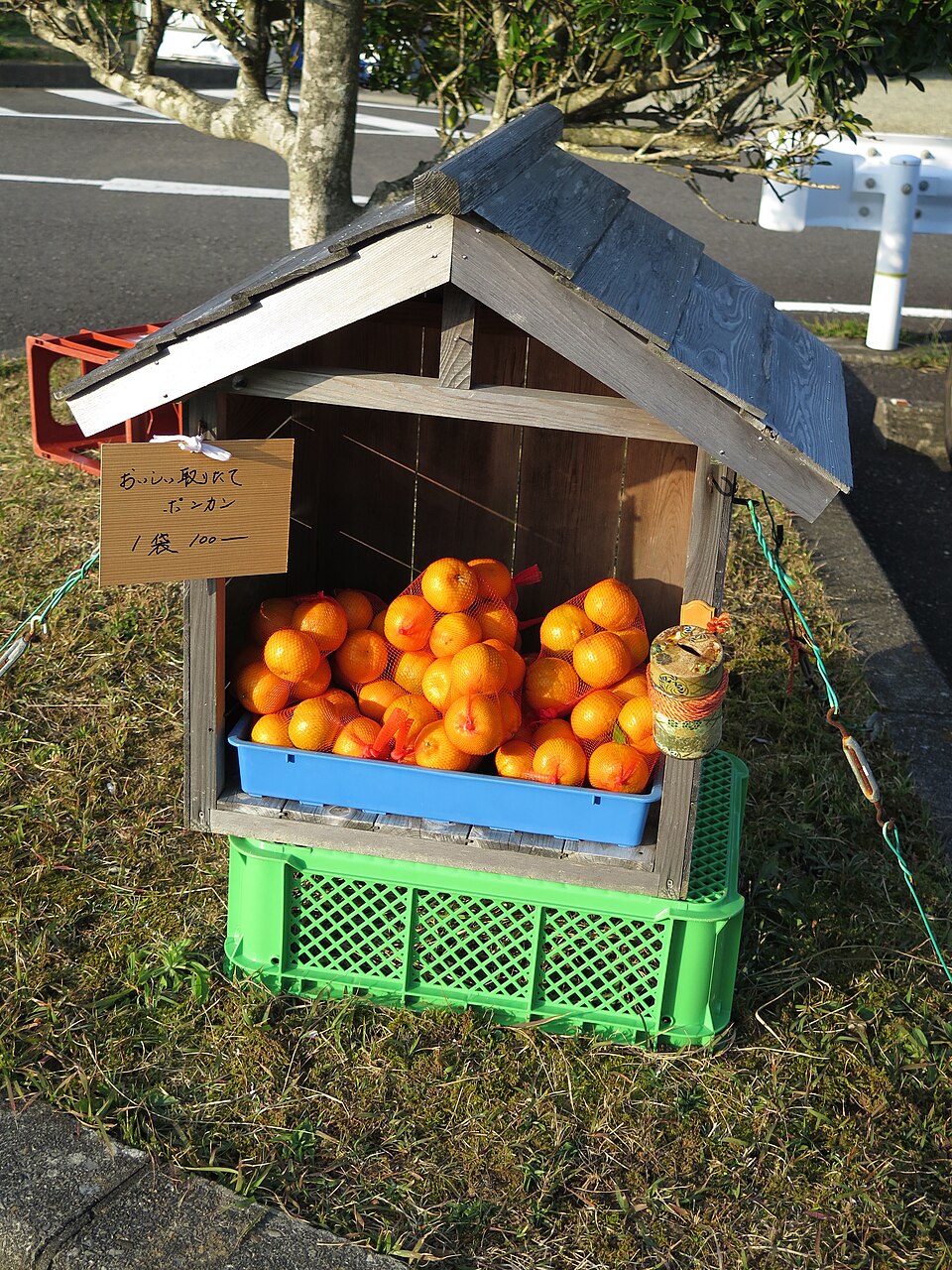 和歌山県潮岬で販売されているポンカン。地域の販売風景。