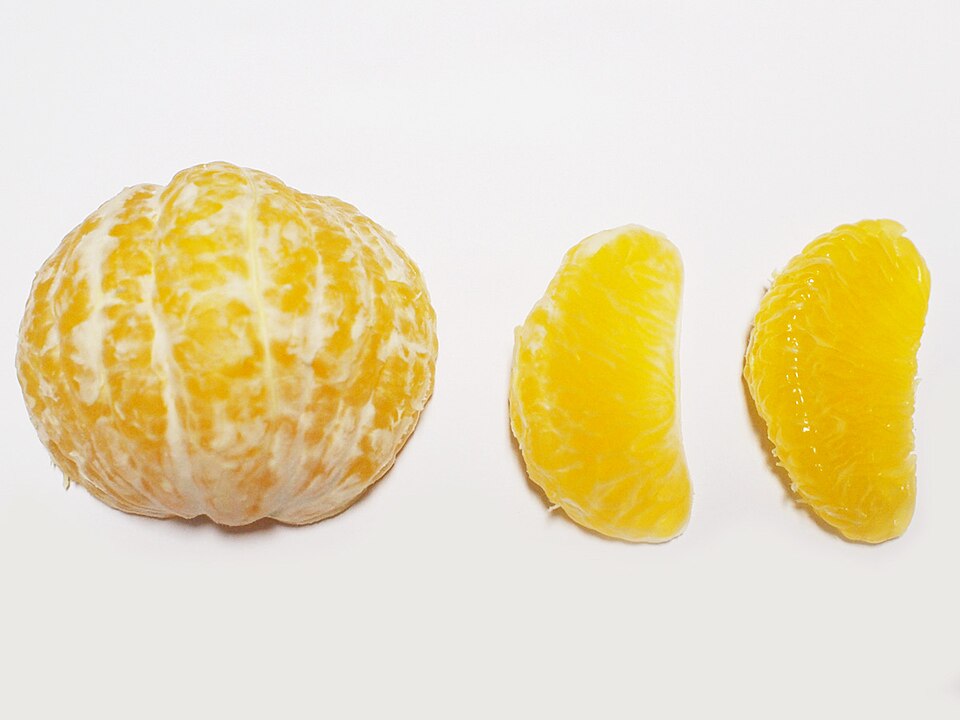 八朔の砂じょうとじょうのう