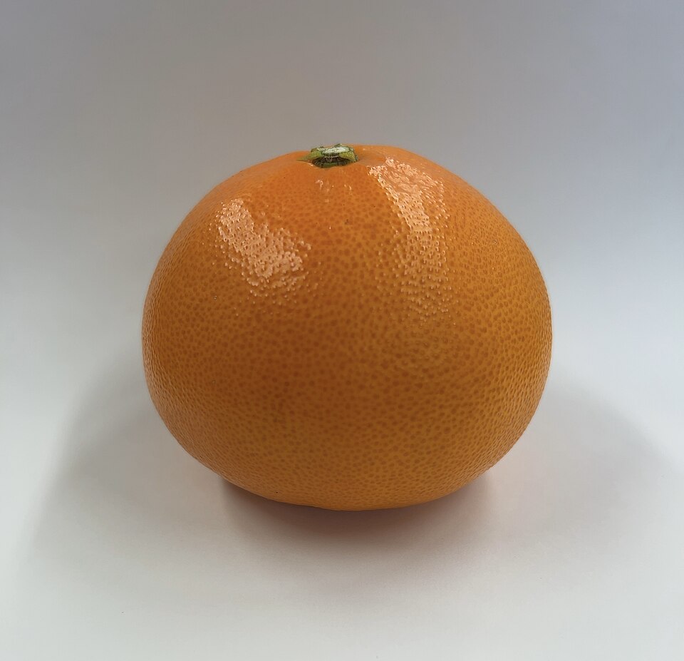 せとかの果実
