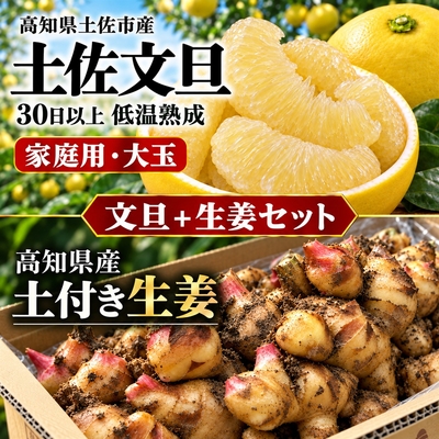 【2027年2月発送】大玉 土佐文旦 家庭用＋土付き生姜セット