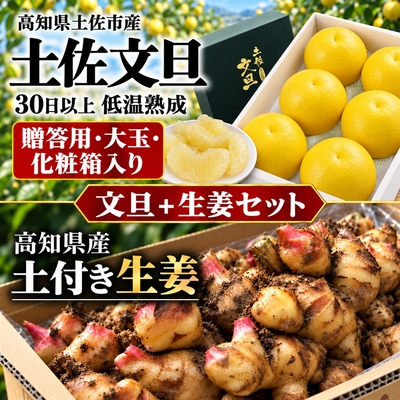 【2027年2月発送】贈答用化粧箱 土佐文旦 大玉＋土付き生姜セット