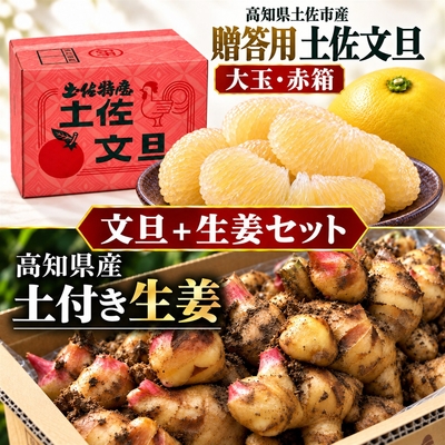 【2027年2月発送】贈答用 大玉 土佐文旦 赤箱＋土付き生姜セット