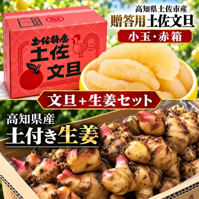 【2027年2月発送】贈答用 小玉 土佐文旦 赤箱＋土付き生姜セット