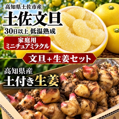【2027年2月発送】ミニチュアミラクル土佐文旦 家庭用＋土付き生姜セット