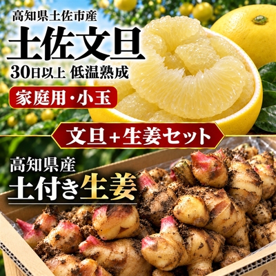 【2027年2月発送】小玉 土佐文旦 家庭用＋土付き生姜セット