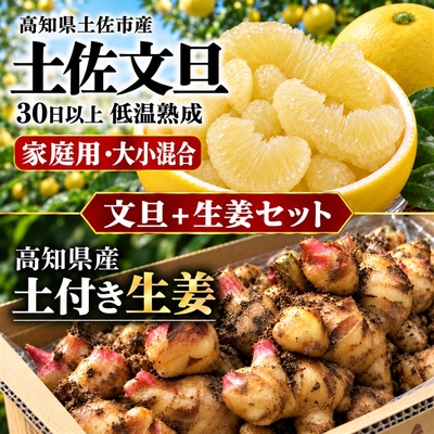 【2027年2月発送】大小混合 土佐文旦 家庭用＋土付き生姜セット